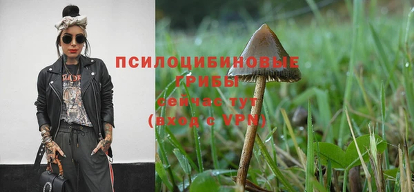 MESCALINE Волосово