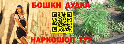 крисы Аргун