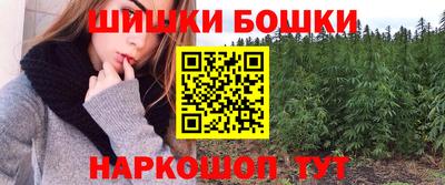 крисы Аргун